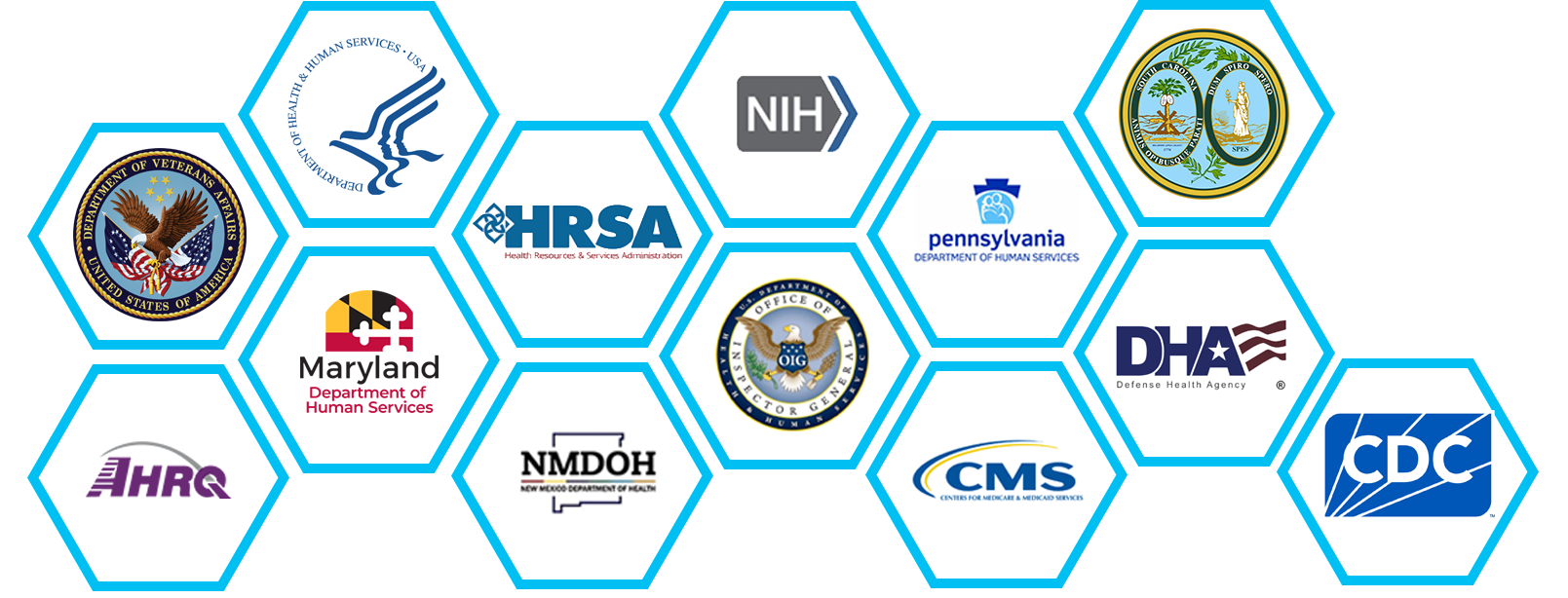 Government Health IT client list